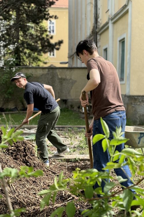 Zwei Personen graben mit Spaten in der Erde