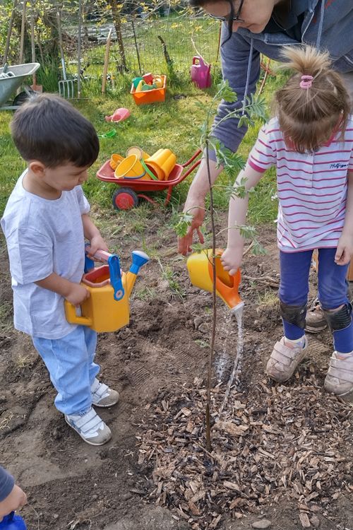 Zwei Kinder gießen einen frisch gesetzten Baum